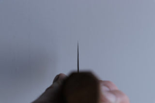 Haruyuki Nagisa Nakiri 165mm