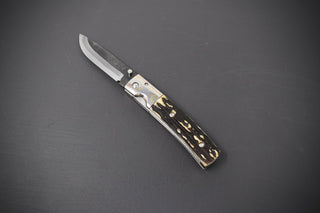 Takeda NAS Inagaki Liner Lock Folder Stag