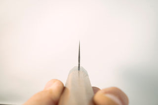 Sakai Kikumori TS10 Gyuto 210mm