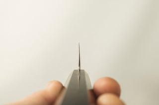 Hatsukokoro Ginsou Silver3 Nickel Damascus Gyuto 210mm