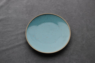Robin Egg 10” Plate - The Cook's Edge