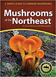 Mushrooms of the Northeast - The Cook's Edge